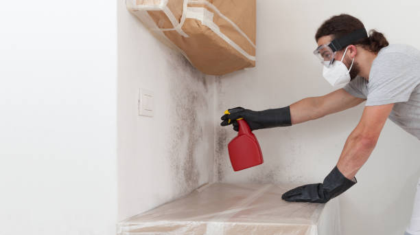 Professional Attic Mold Removal technician working in Erwinna, PA