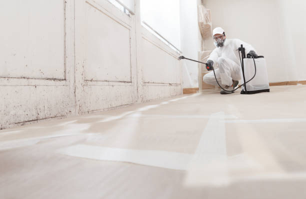 24/7 Emergency Attic Mold Removal experts in Erwinna, PA